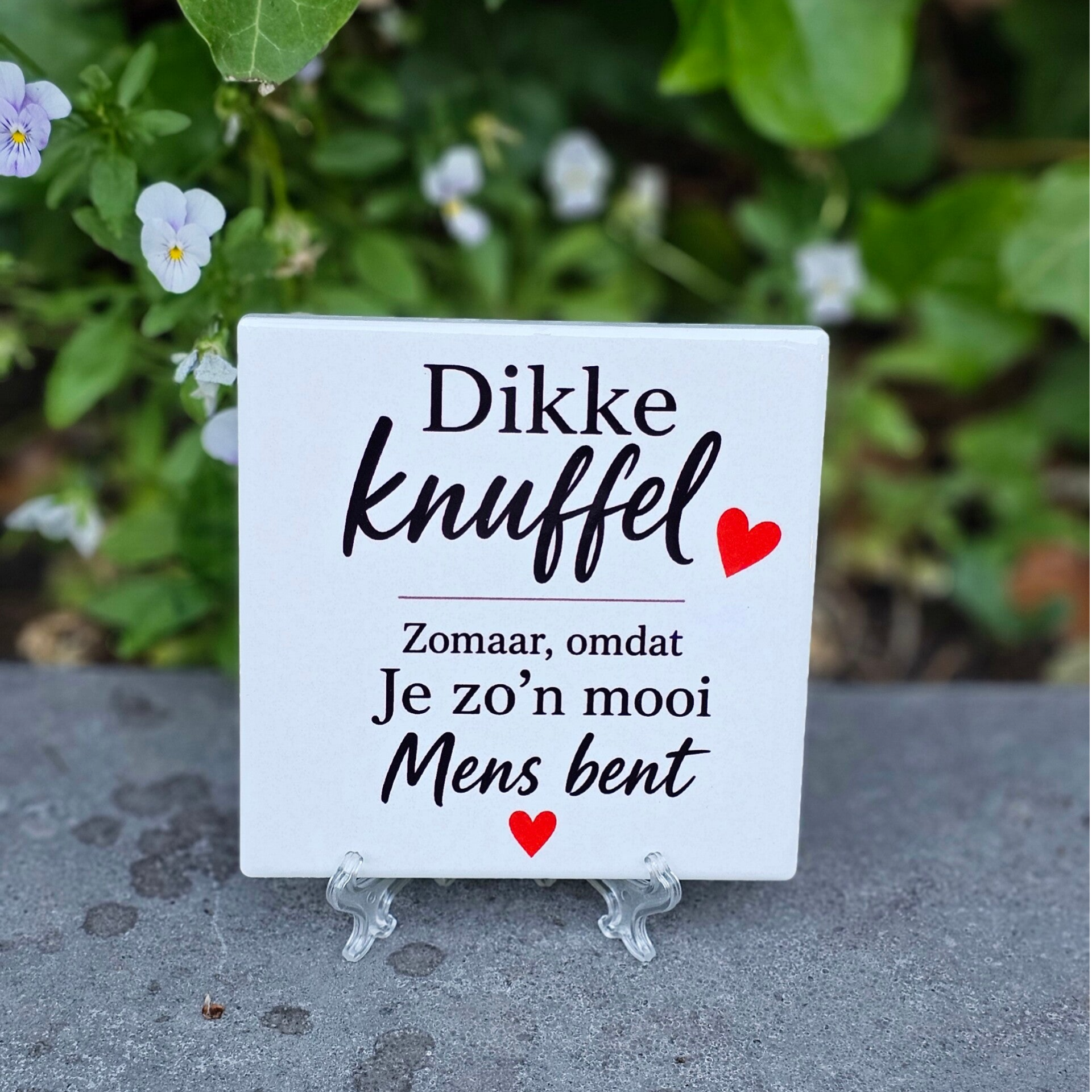 Dikke Knuffel, zomaar omdat je zo'n mooi mens bent - tegeltje