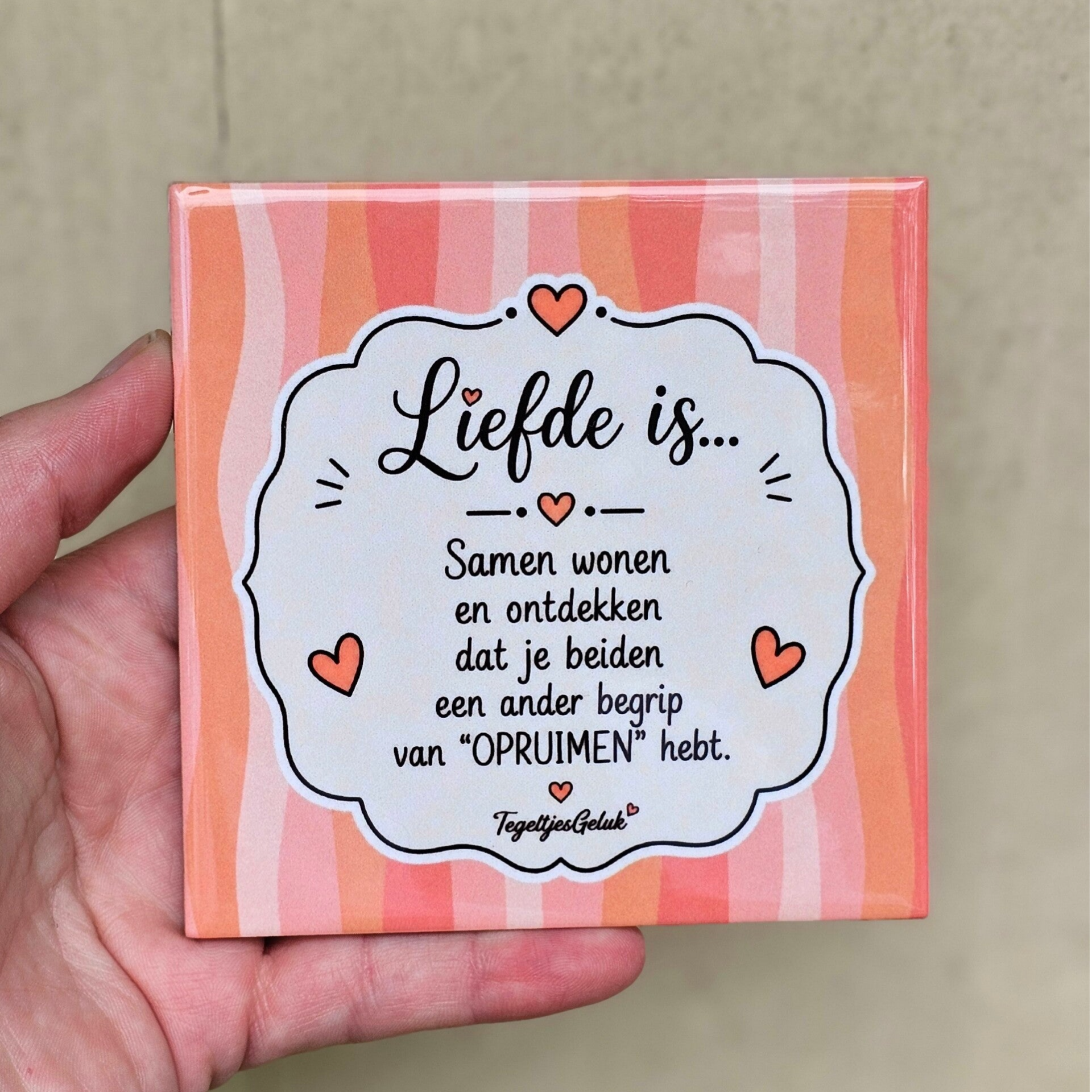Grappig liefde tegeltje - Liefde is een ander begrip van opruimen