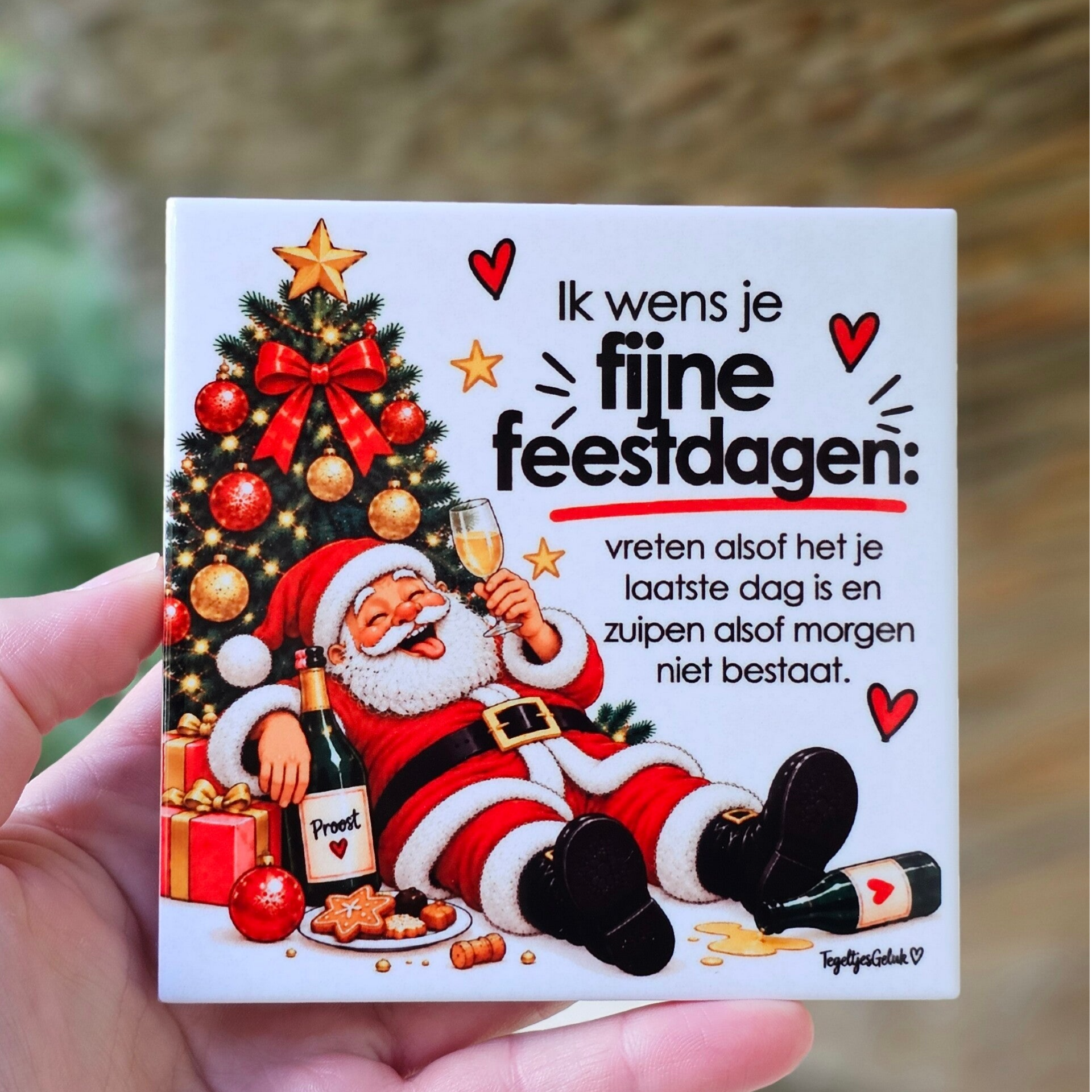 Kerst tegeltje - Ik wens je fijne feestdagen ..