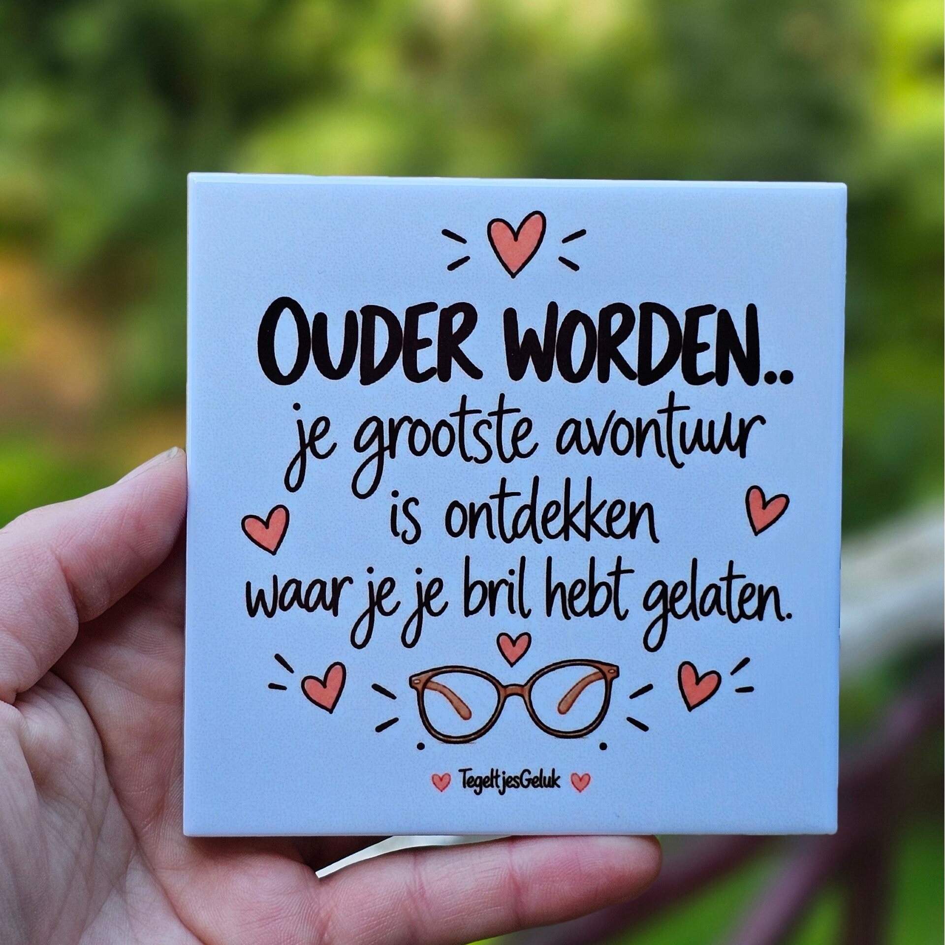 Grappig tegeltje - Ouder worden | Je grootste avontuur..
