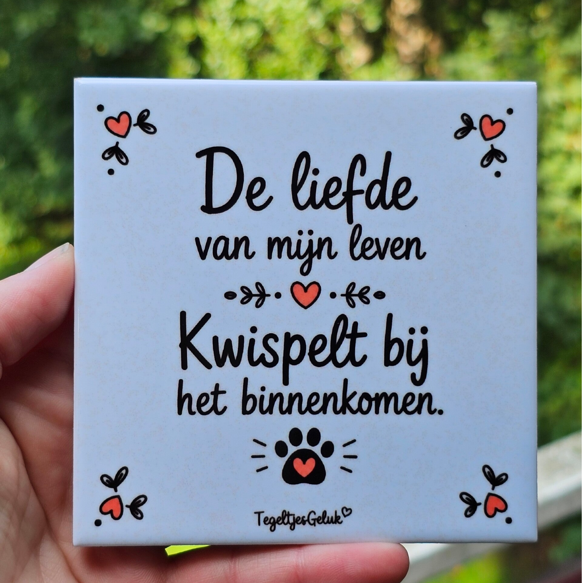 Huisdieren tegeltje - De liefde van mijn leven kwispelt bij het binnenkomen
