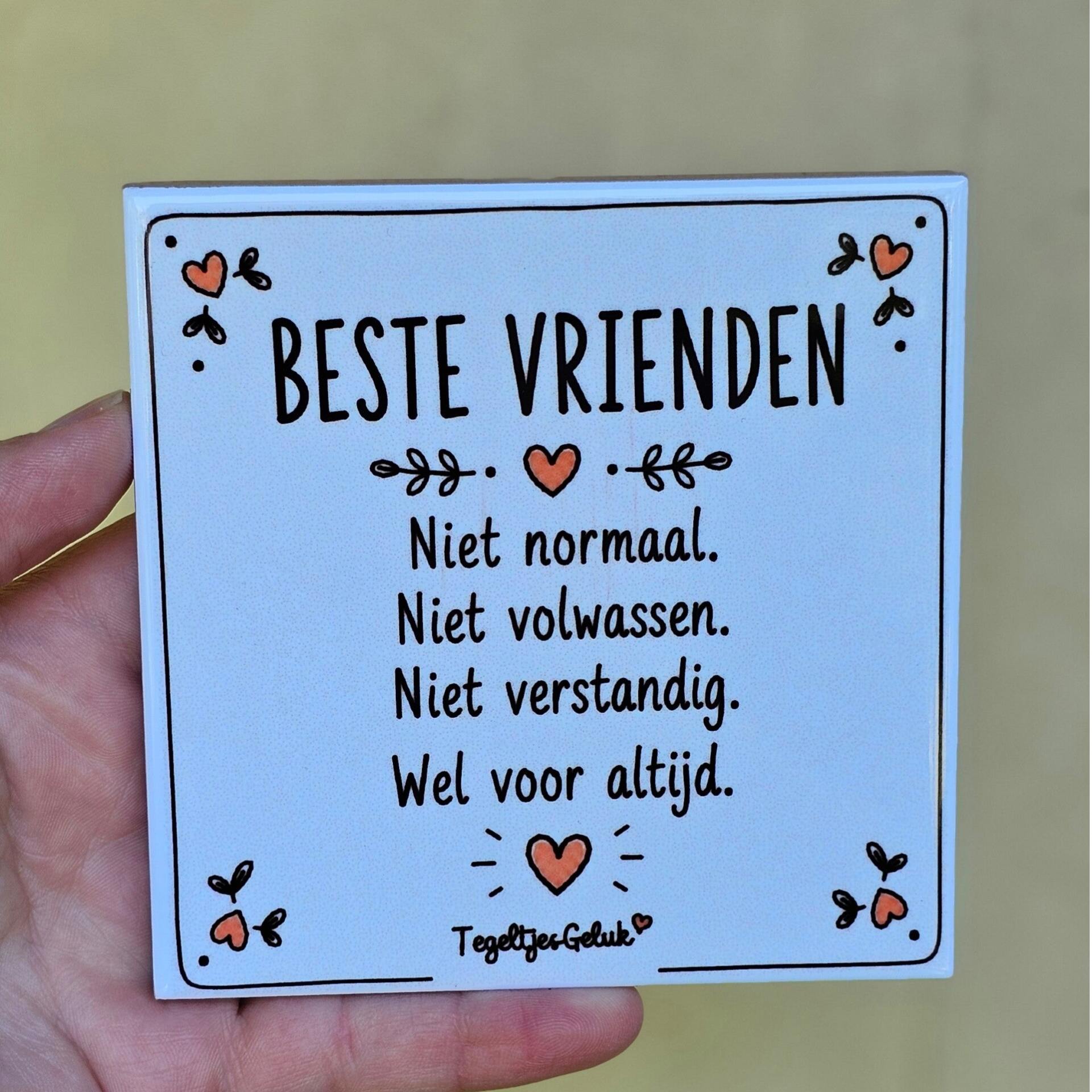 Vriendschap tegeltje - Beste vrienden, niet normaal wel voor altijd