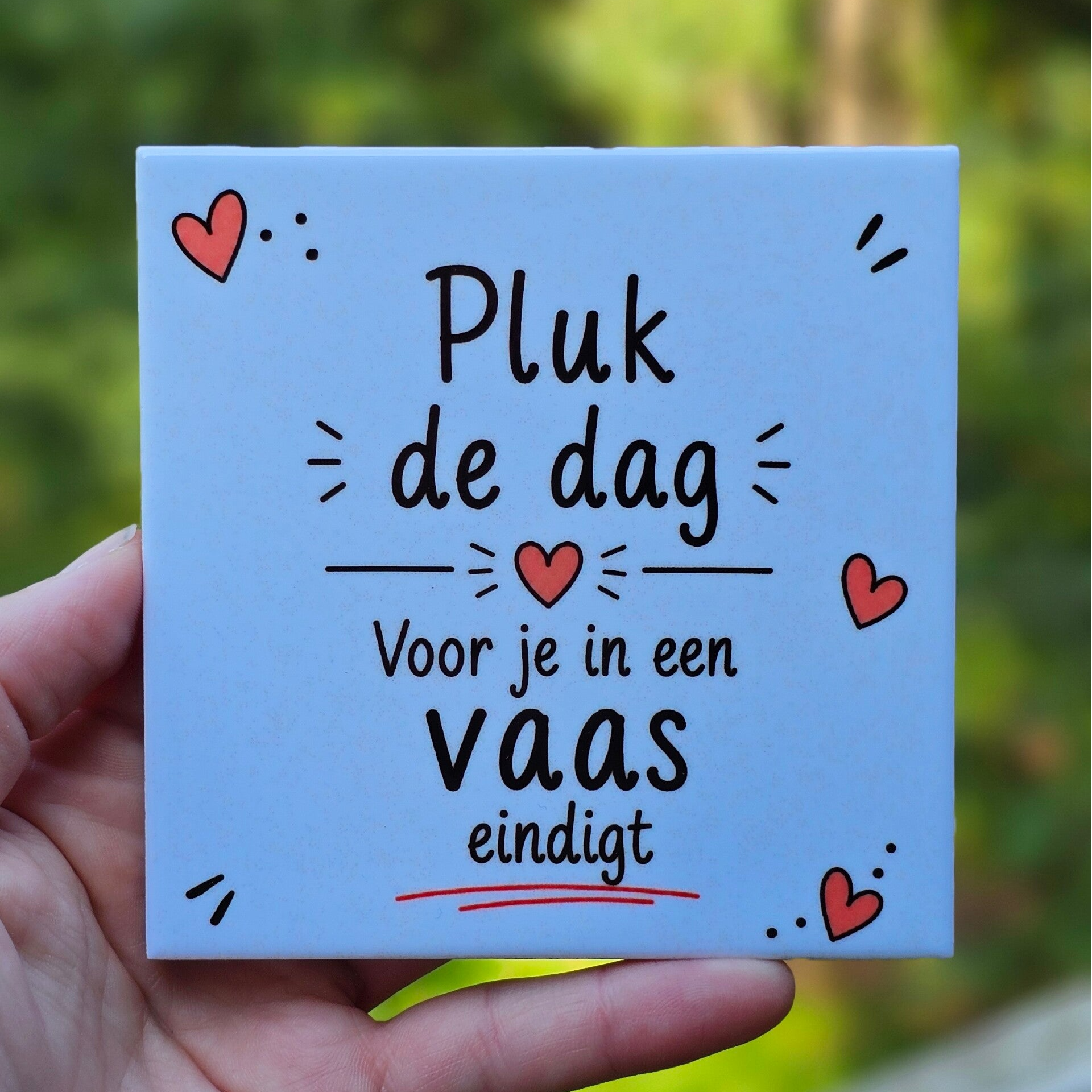 Spreuk tegeltje - Pluk de dag voor je in een vaas eindigt