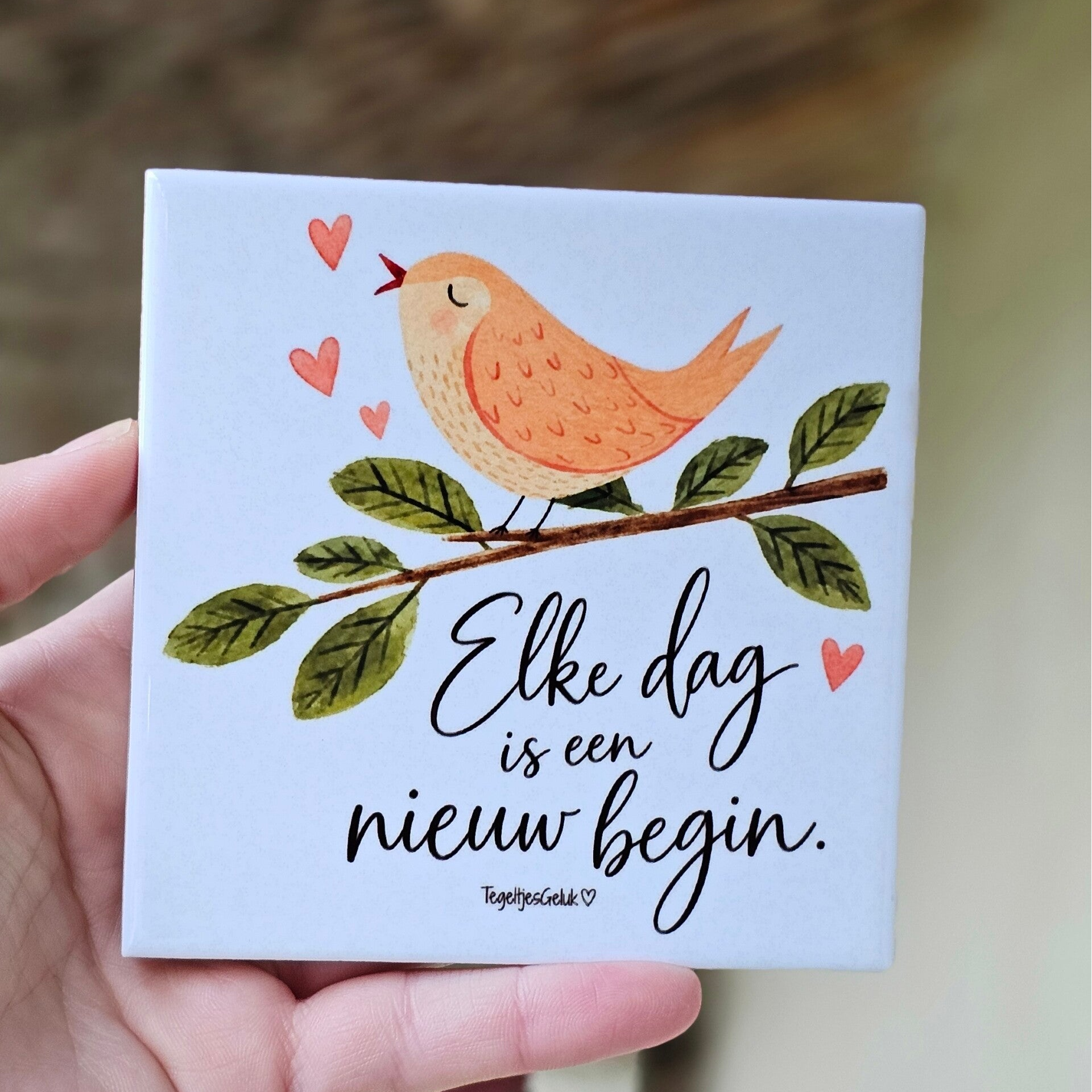 Spreuk tegeltje - Elke dag is een nieuw begin