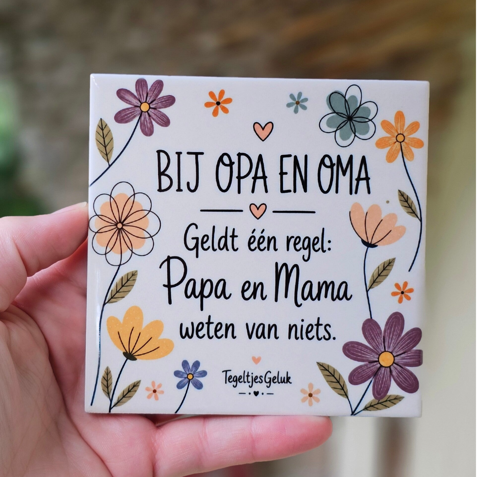 Familie tegeltje - Bij opa en oma geldt één regel | papa & mama weten van niets
