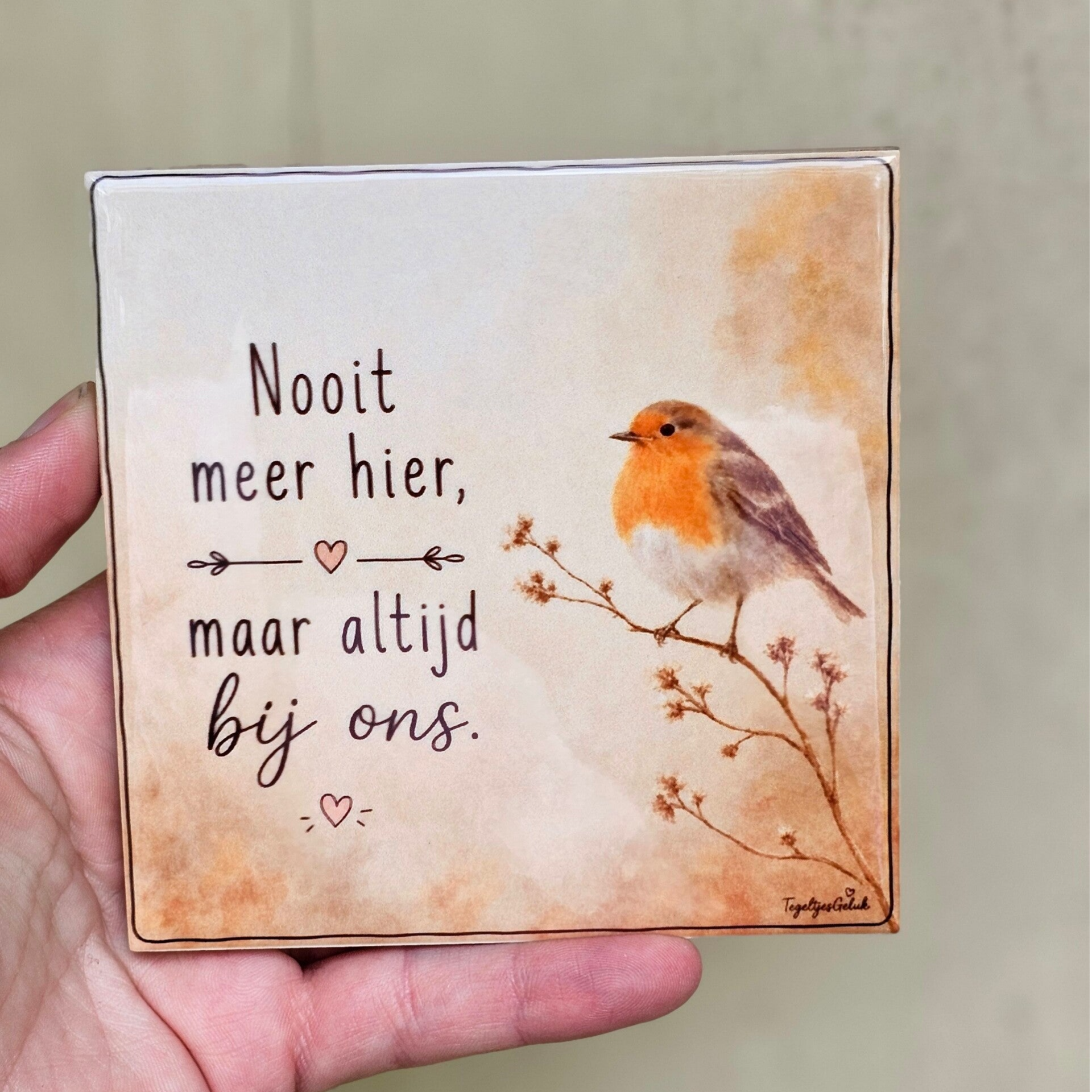 Afscheid tegeltje - Nooit meer hier, maar altijd bij ons (ROODBORSTJE)
