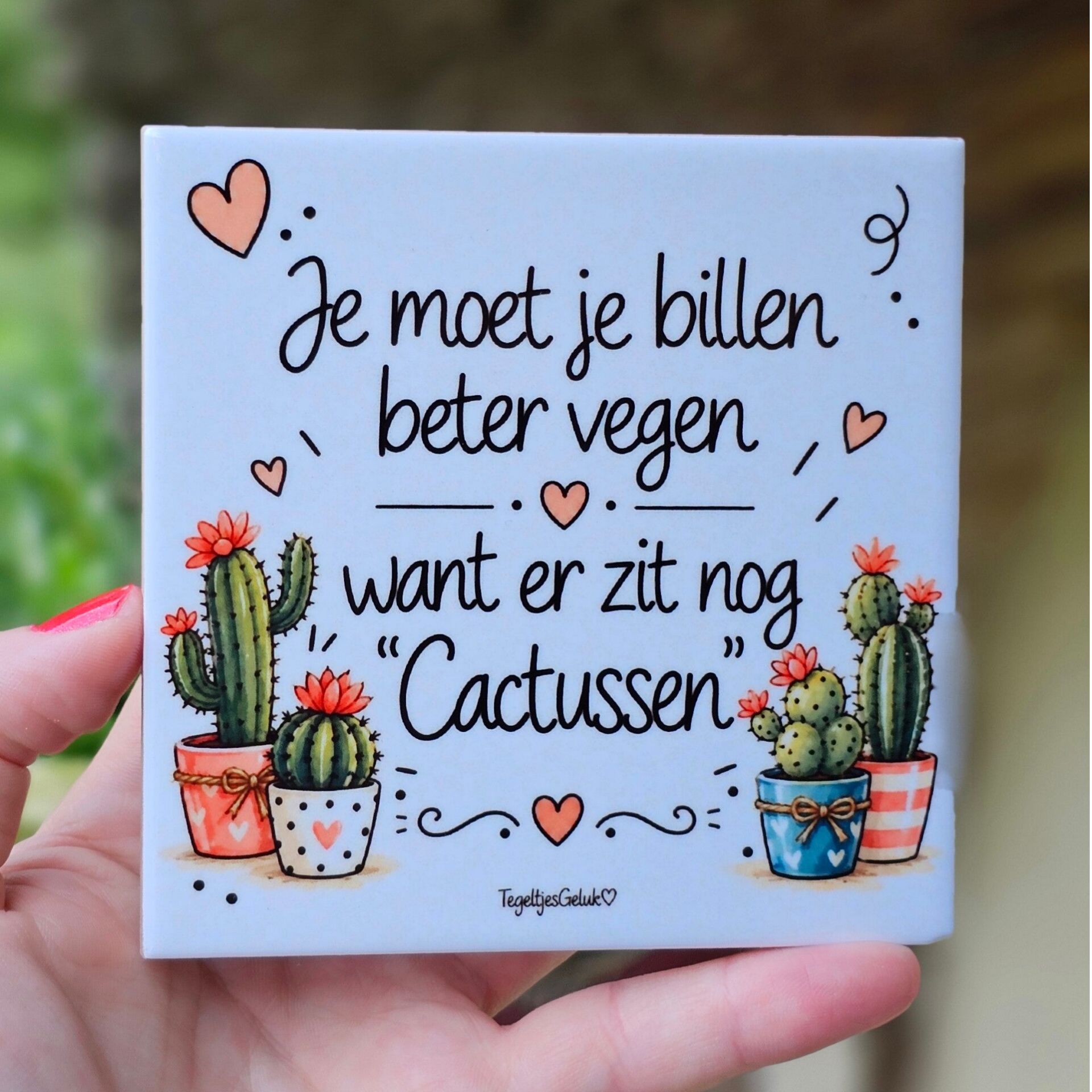 Grappig WC tegeltje - Je moet je billen beter vegen want er zit nog cactussen