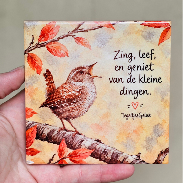 Motiverend tegeltje - Zing, leef en geniet van de kleine dingen