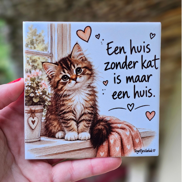 Huisdier tegeltje - Een huis zonder kat is maar een huis