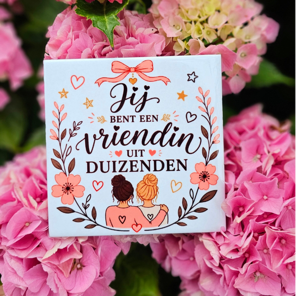Vriendschap tegeltje - Jij bent een vriendin uit duizenden