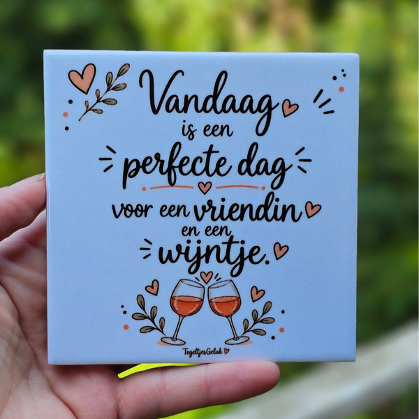 Vriendschap tegeltje - Vandaag is een perfecte dag voor een vriendin en een wijntje