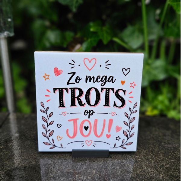 Waardering tegeltje - Zo mega TROTS op jou!