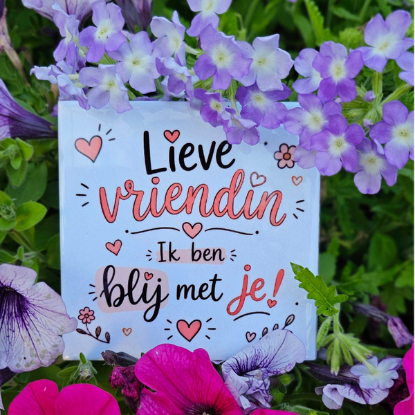 Vriendschap tegeltje - Lieve vriendin, ik ben blij met je!