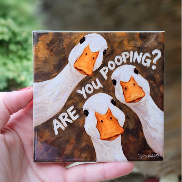 Grappig WC tegeltje - Are you pooping? (drie ganzen)
