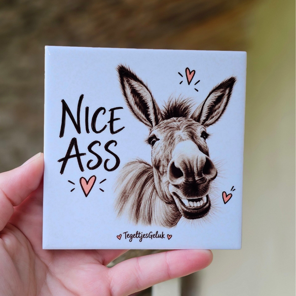 Grappig WC tegeltje - Nice Ass (Ezel)
