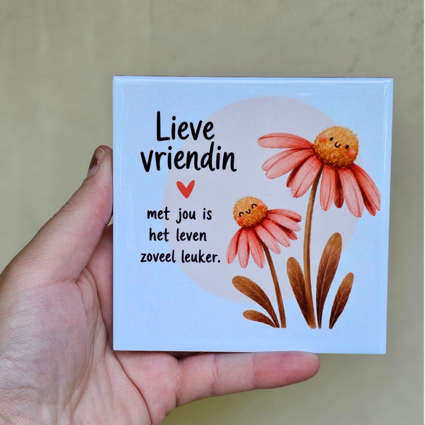 Vriendinnen Tegeltje – Lieve Vriendin, met Jou is het Leven Zoveel Leuker