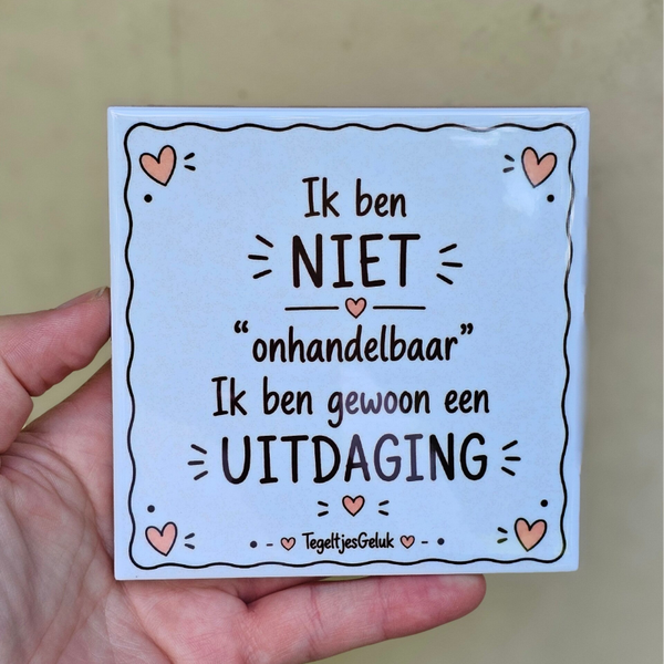 Grappig tegeltje - Ik ben niet onhandelbaar, ik ben gewoon een uitdaging