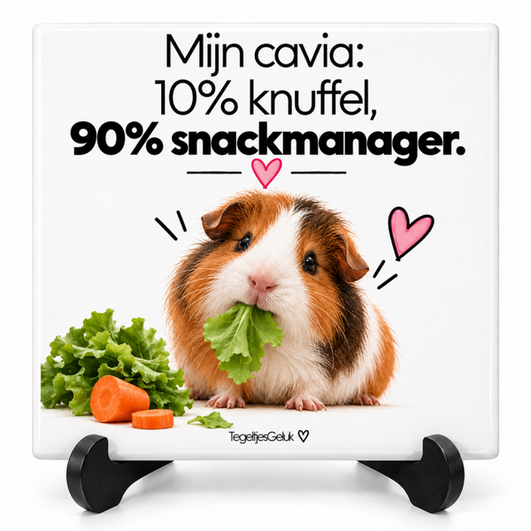 Huisdieren tegeltje - Mijn cavia..