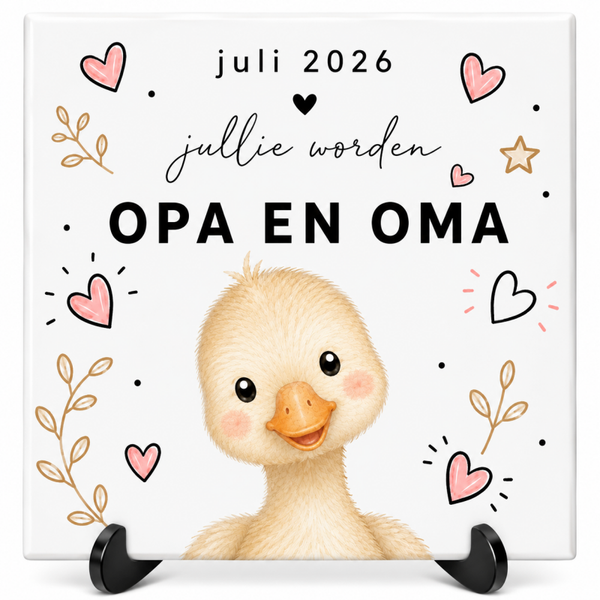 Gepersonaliseerd Zwangerschap aankondiging - Tegeltje (Gansje)