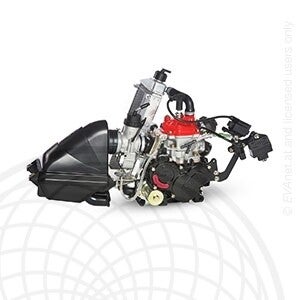 ROTAX 125 JUNIOR EVO CPL