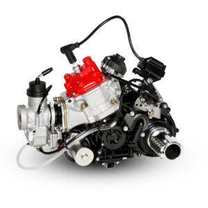 ROTAX MAX 125 DD2 EVO (alleen motor)