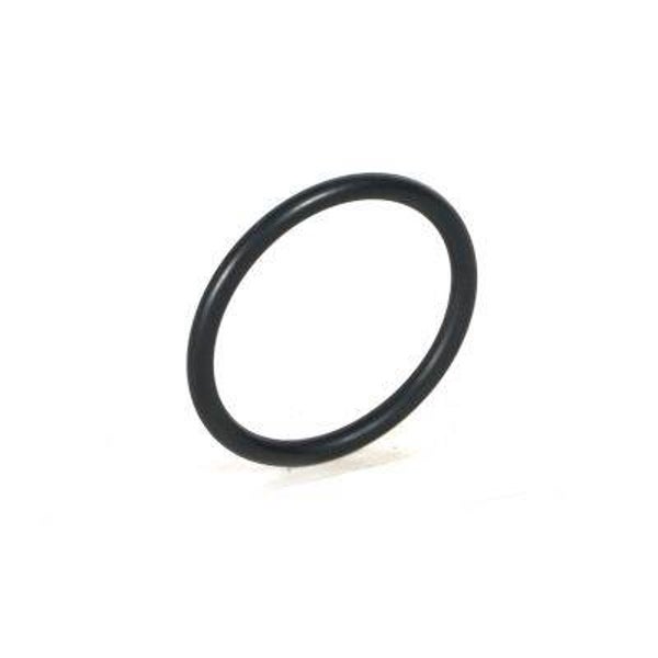 O-RING 32MM 31.42X2.62 VOOR ACHTERREMKLAUW