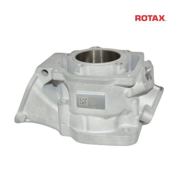 ROTAX DD2 CILINDER