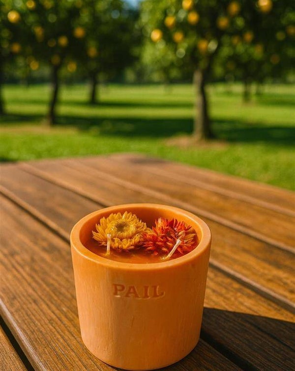 Limited edition - Citroen Zestos