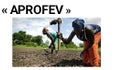 Aprofev.org