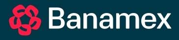 banamex-standard-i12an7.jpg