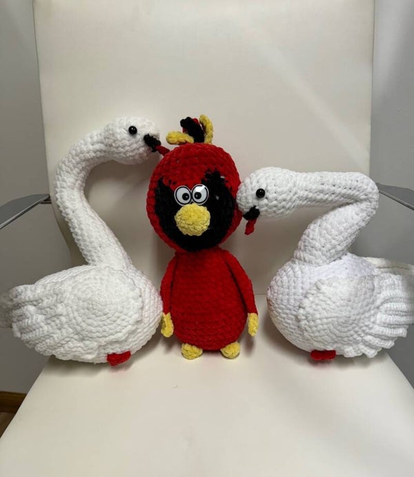 Cardinal and a Swans