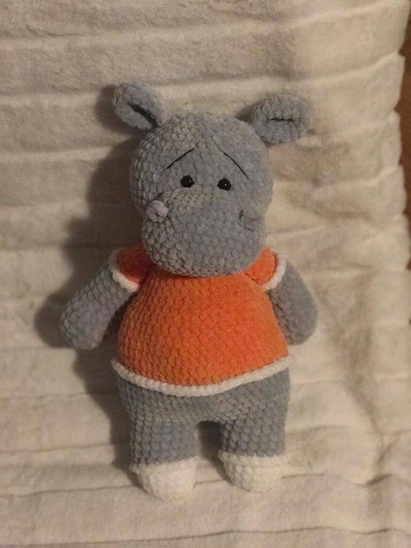 My Friend Hippo