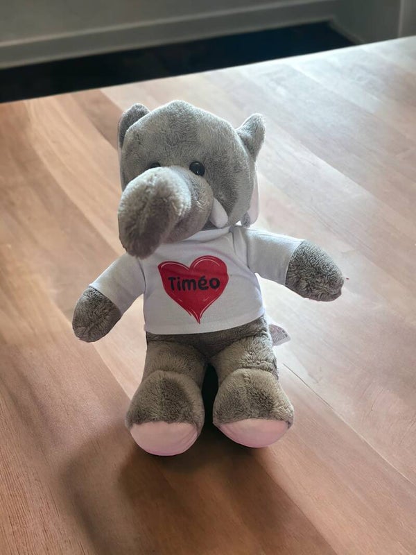PELUCHE PERSONNALISABLE