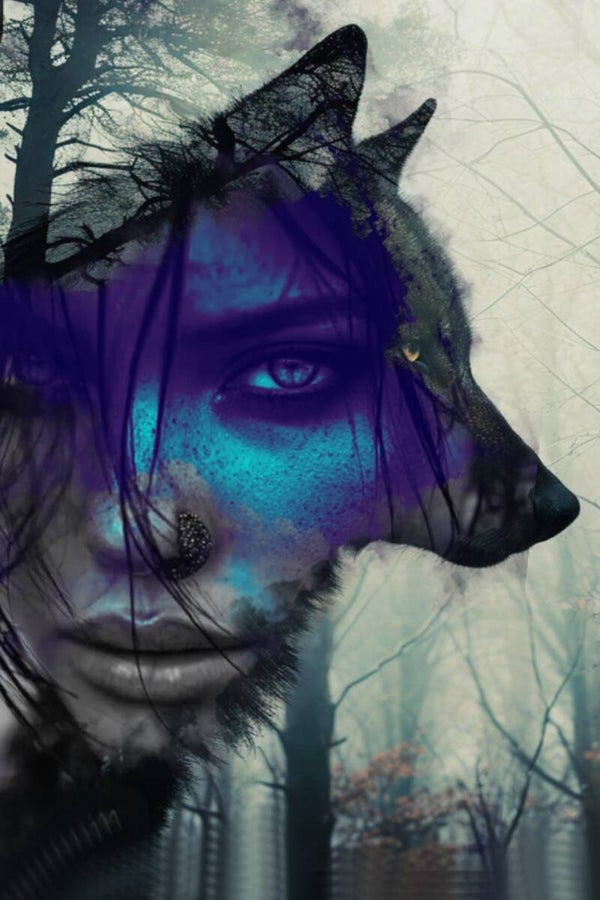 « THE GUIDE »