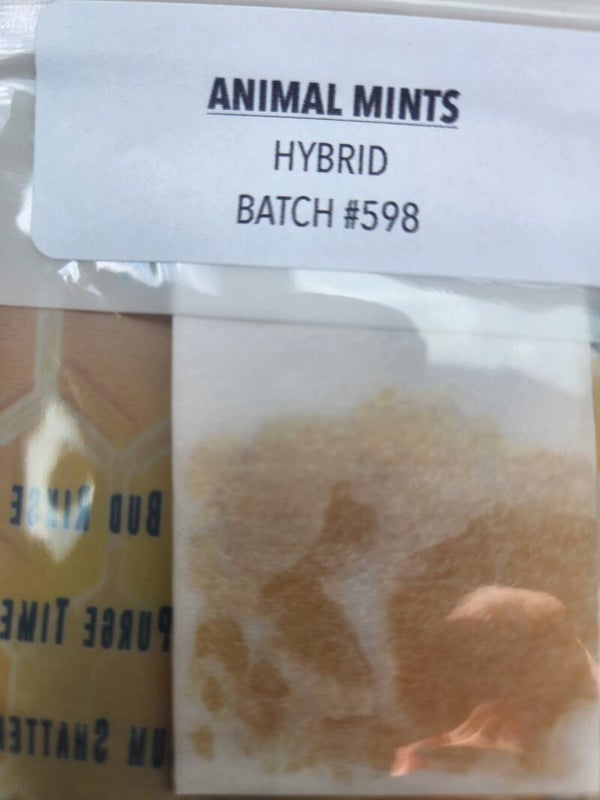 Animal Mints