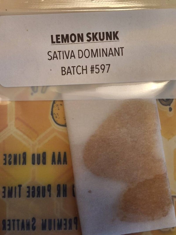 Lemon Skunk