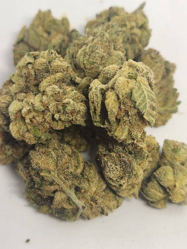Animal Chem
