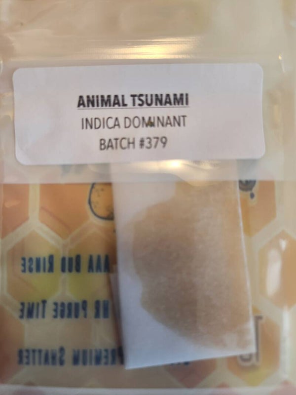 Animal Tsunami