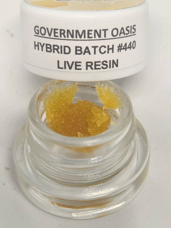 Government Oasis