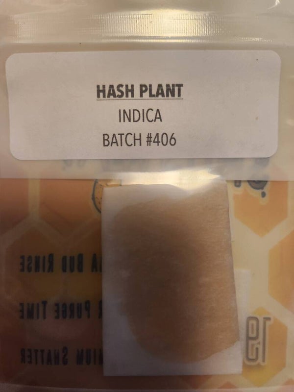 Hash plant