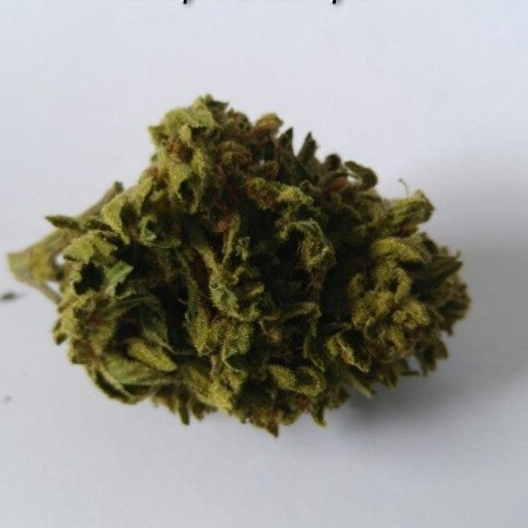 Grape stomper