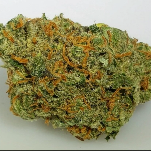 Chocolope