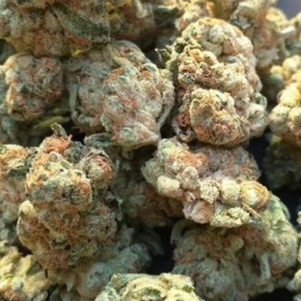 Chemdawg #4 X Alien OG Kush