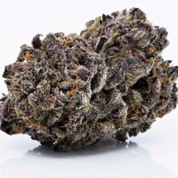 Black Berry kush