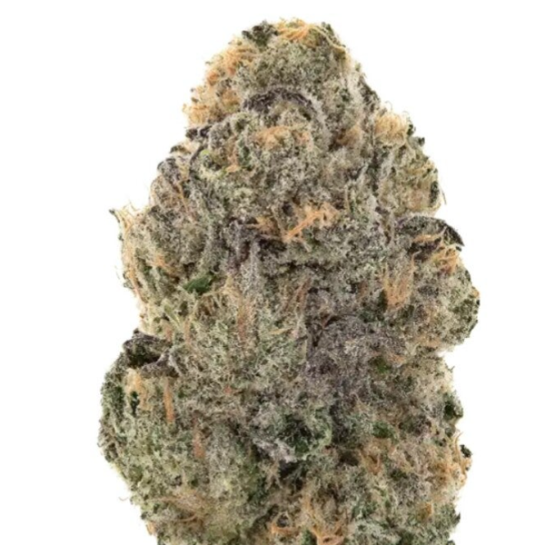 Gelato 44