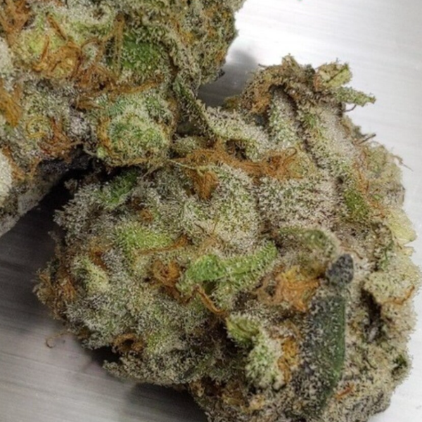Mint chocolate chip