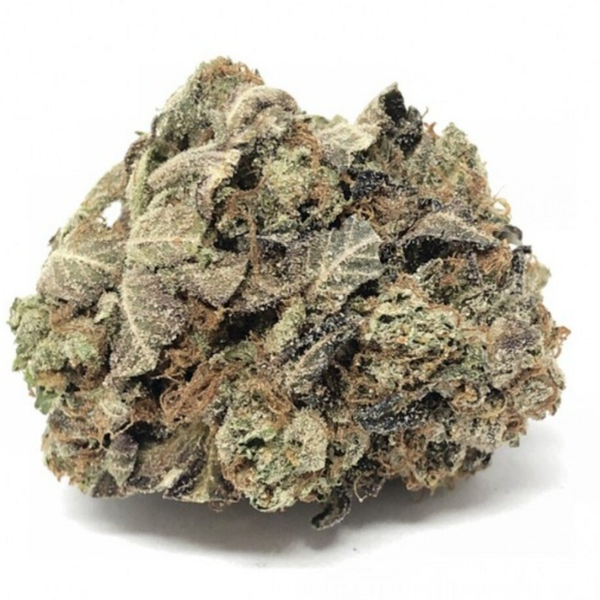 Hindu Kush