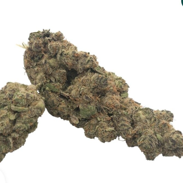 Animal Chem