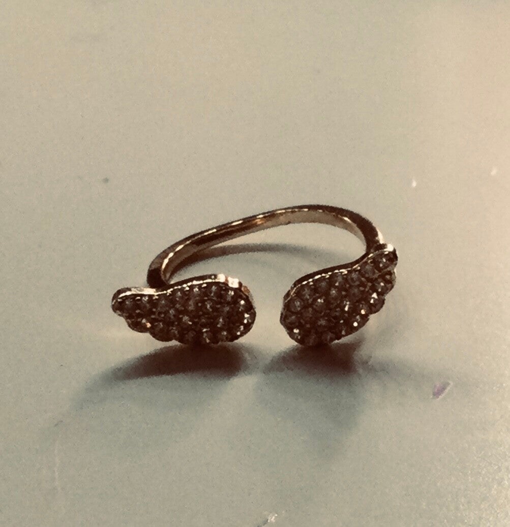 Vleugels ring met diameten