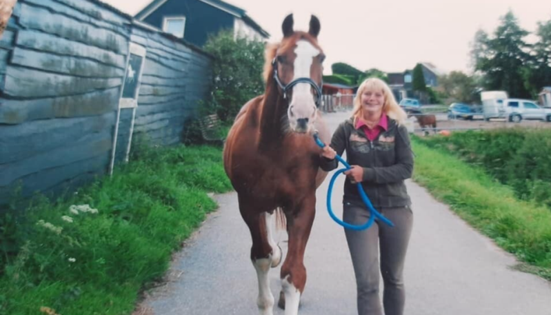 Rebecca Groenendijk en haar paard
